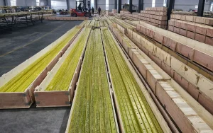 The Path to Breakthrough: Full-Chain Empowerment by Professional Solution Providers The Path to Breakthrough: Full-Chain Empowerment by Professional Solution Providers