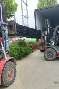 Ripresa della produzione dopo le festività per un nuovo percorso: lo stabilimento di guide lineari punta a uno sviluppo di alta qualità Ripresa della produzione dopo le festività per un nuovo percorso: lo stabilimento di guide lineari punta a uno sviluppo di alta qualità